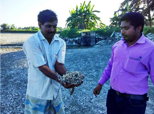  Sivagnanam, a fish farmer of Tiruvallur district