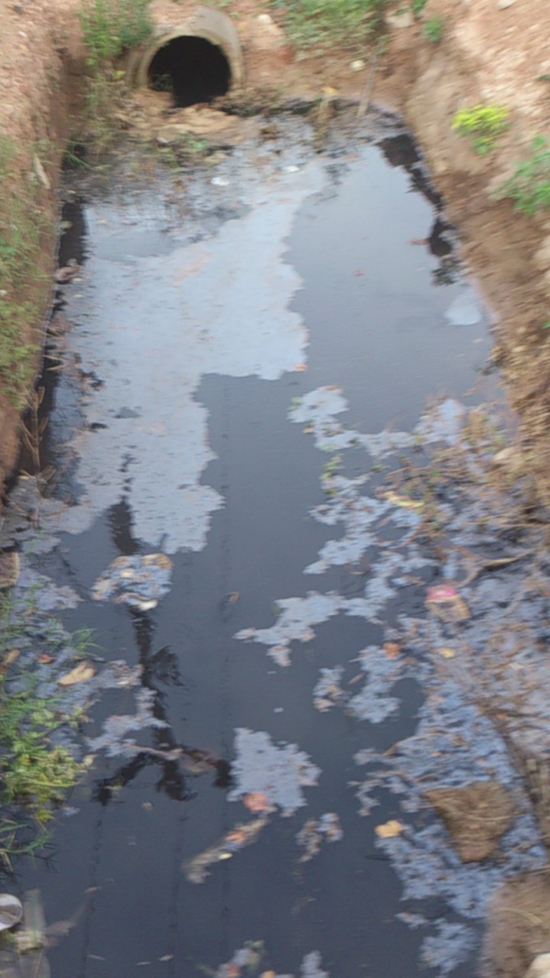 another incident of storm water contamination
