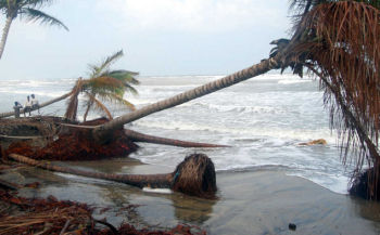 endangered islets