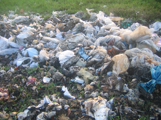 industry waste near Karikadu