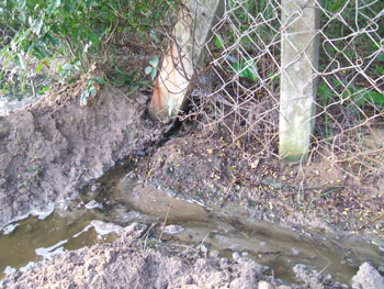 Pioneer Miyagi discharging effluents