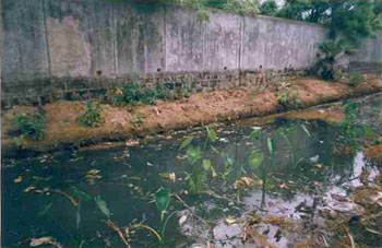 SPIC discharges effluents